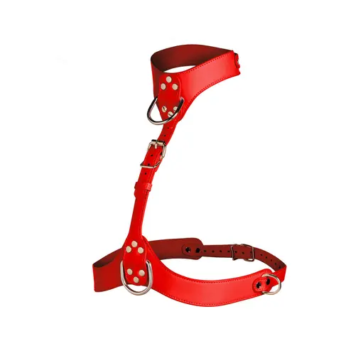 Master Series Vixen Chest Harness in Red