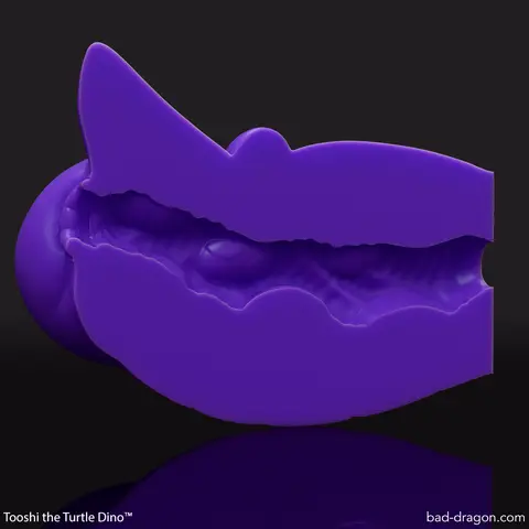 Tooshi the Turtle Dino™