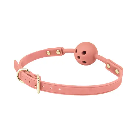 Temptasia Ardor Ball Gag in Pink