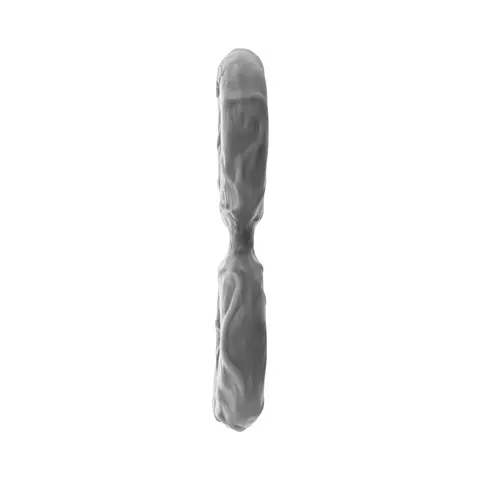 Shaft Model D: Double C-Ring Grey Size 3