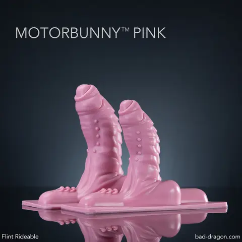 Flint® the Uncut Studded Dragon Rideable