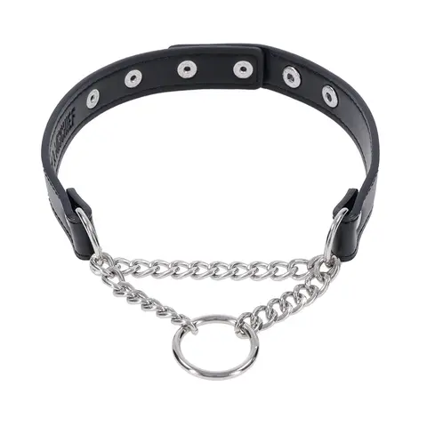 Sportsheets Sex & Mischief Shadow Day Collar