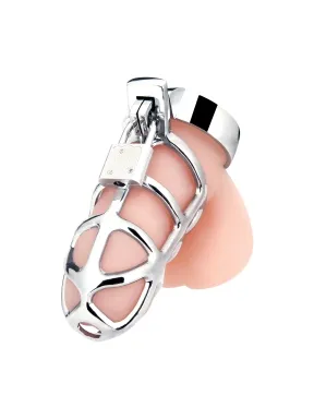 enslave stainless steel cock cage