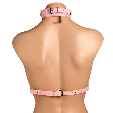 Master Series Vixen Chest Harness in Pink