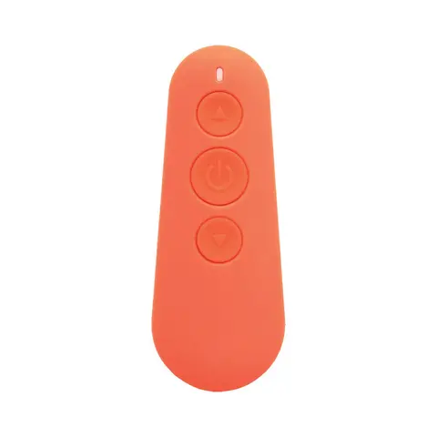 Mood Play Vibrating Egg with Remote Orange
