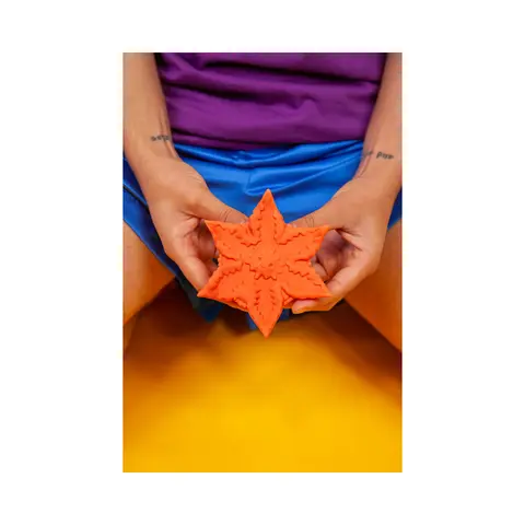 Cute Little Fuckers Starsi in Coral