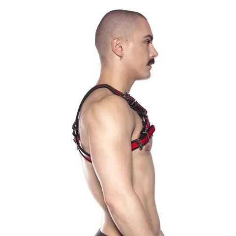 Prowler RED Bull Harness Black/Red XL