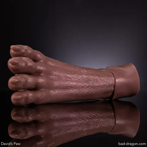 David's Paw®