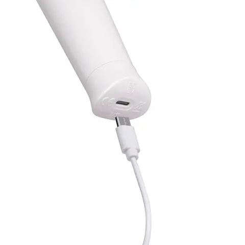Le Wand Classique Petite Wand Massager