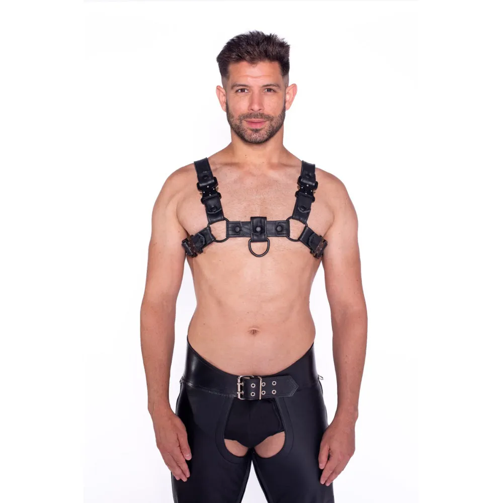 Prowler RED Bull Harness Black with Metal Fittings M