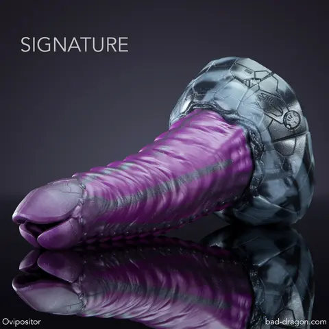 Ovipositor