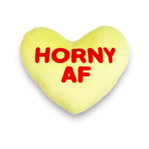 X-Rated Valentine's Plushy Pillows