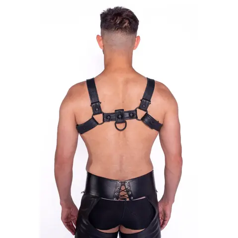 Prowler RED Bull Harness Black with Metal Fittings L