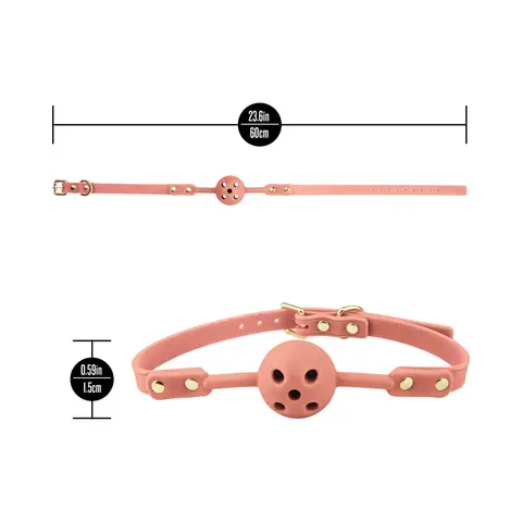 Temptasia Ardor Ball Gag in Pink