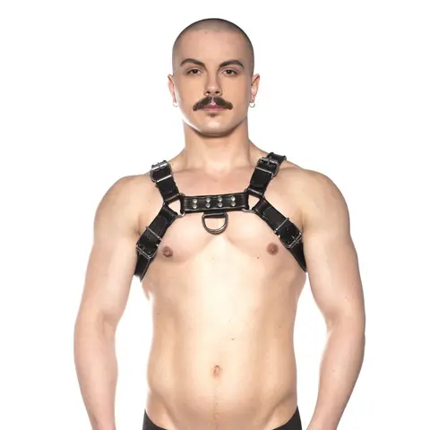 Prowler RED Bull Harness Black 2XL