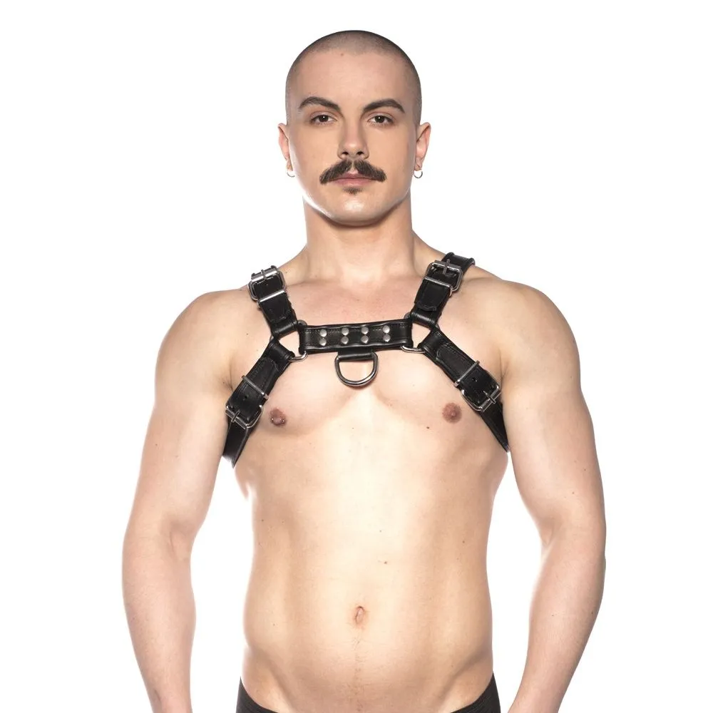 Prowler RED Bull Harness Black 2XL