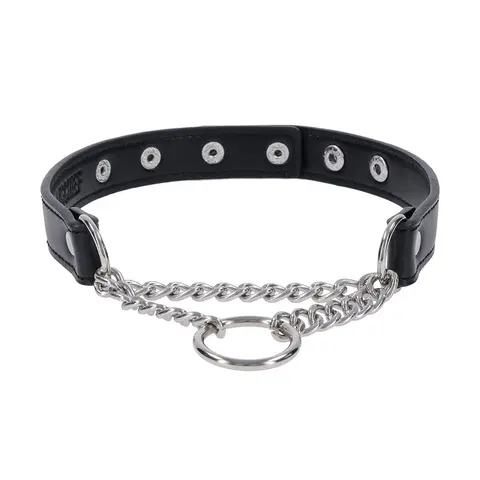 Sportsheets Sex & Mischief Shadow Day Collar