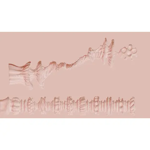 XKIN Phyra Dual Channel Masturbator with Bullet