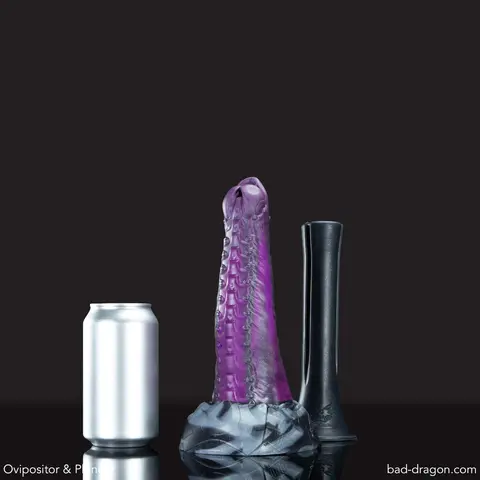 Ovipositor
