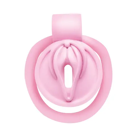Master Series Vulva Locking Chastity Cage