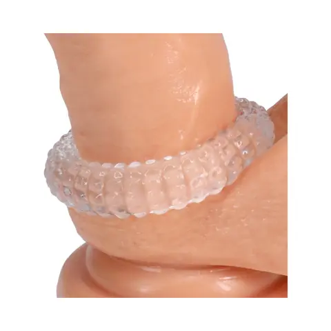 Rock Solid Radial Clear C Ring in a Clamshell