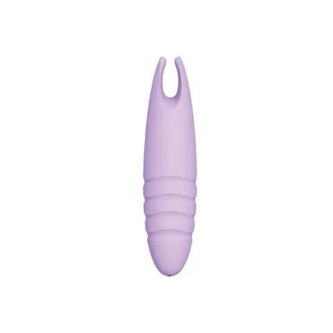 Sorbet Purple Passion Lavender