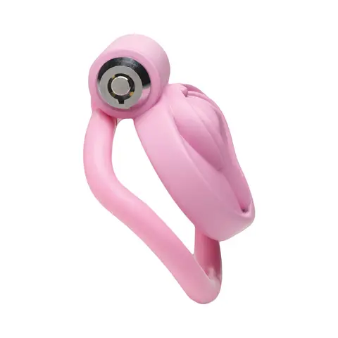 Master Series Vulva Locking Chastity Cage