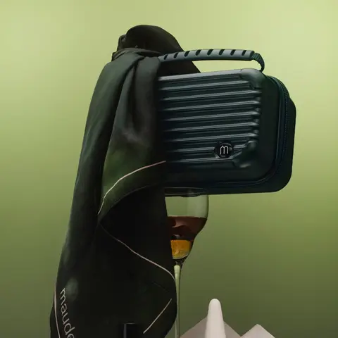 luggage mini