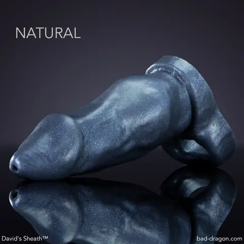David's Sheath®