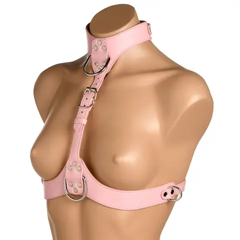 Master Series Vixen Chest Harness in Pink