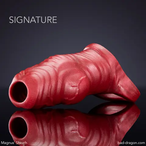 Magnus' Sheath