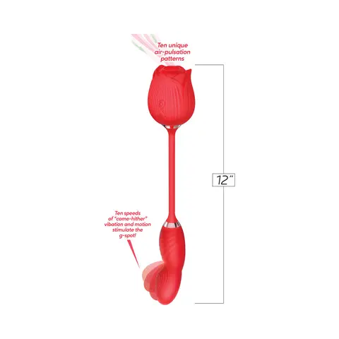 Wild Rose Come Hither and Suction Vibe