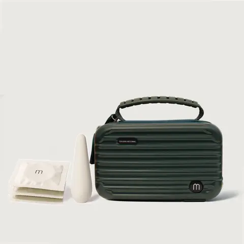 luggage mini