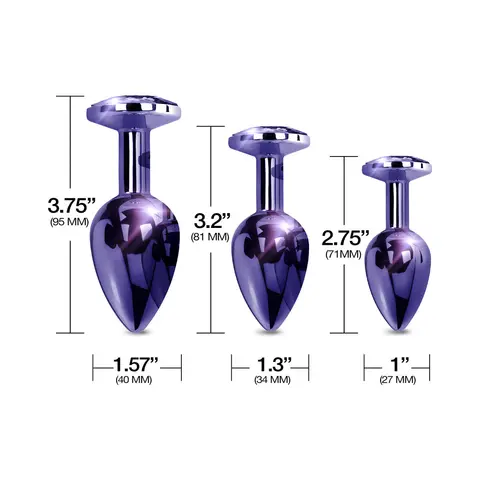 Nixie Metal Butt Plug Trainer Set 3-Piece Purple Metallic