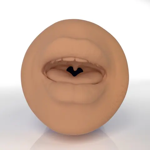 Kittyhot1 Fleshlight